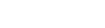 renault consulting